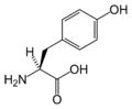 تیروزین (Tyr / Y)