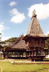 A wooden house on stilts with a thatch roof