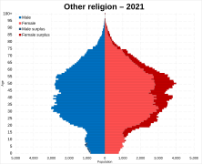 Other Religion
