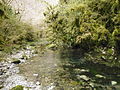 La rivière Arros près de sa source