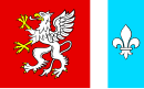 Drapeau de Powiat de Dębica