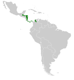 Distribución de P. cuvierii