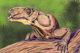 Художня реконструкція Phthinosuchus discors