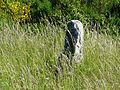 Menhir de Bargueyrac ou menhir de la Pierre Plantade