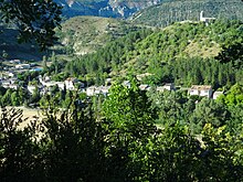 Forêt sur l'ubac de la montagne de Lure