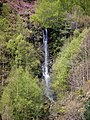 Cachoeira