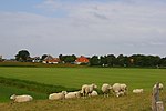 Miniatuur voor Oost (Texel)