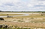 Artikel: Reserva Natural de Lagunas de Villafáfila