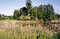 Nr. 4 die wassergefüllten Bingen des Richard- und Wetterschachtes bilden den Weberteich