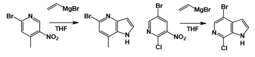 Bartoli Indole Synth Scope