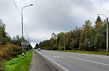 Vue depuis le bas-côté d'une route à 1x2 voies sans séparateur, avec de châque côté des arbres.