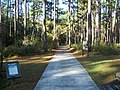 View from the Trail