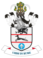 Official logo of Metropolitan Borough of Solihull