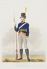 Regementets uniform m/1806