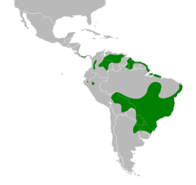 Distribución geográfica del coludo colicuña.