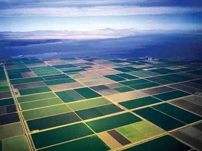 Fields of Imperial Valley, Salton Sea, (2008)