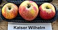 Kaiser Wilhelm (Apfel)