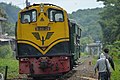 Tourist train with Locomotive D301