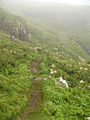 Le chemin sur Lunga