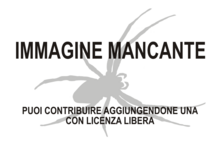 Immagine di Hypognatha solimoes mancante