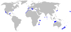 Distribuição do Odontaspis ferox