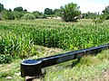 Corn field and irrigation canal