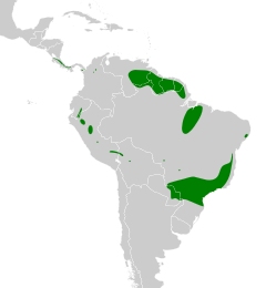 Distribuição geográfica da araponga-do-horto