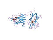 2orx: Structural Basis for Ligand Binding and Heparin Mediated Activation of Neuropilin