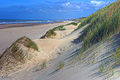 Dunes au sud du Touquet-Paris-Plage.