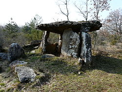 Image illustrative de l’article Dolmen de Peyrelevade (Paussac-et-Saint-Vivien)