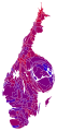 2002 Cartogram of vote with each municipality rescaled in proportion to number of valid votes cast. Deeper blue represents a relative majority for the centre-right coalition, brighter red represents a relative majority for the left-wing coalition.