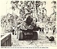 Image 14Loggers and logging truck, early 1960s (from Liberia)