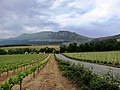 Image 15Groot Constantia, the oldest wine estate in South Africa, was founded in 1685 by Simon van der Stel. The South African wine industry (New World wine) is among the lasting legacy of the VOC era. The recorded economic history of South Africa began with the VOC period. (from History of South Africa)