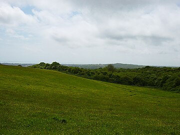 Uncultivated land in the Cote Bottom area