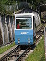 Zürich: Seilbahn Rigiblick