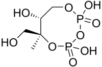 Skeletal formula of 2-C-methyl-D-erythritol-2,4-cyclodiphosphate