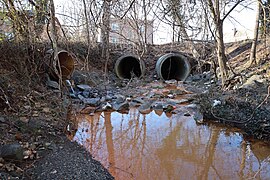 Accotink Creek source at Hallman Street