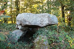 Image illustrative de l’article Allée couverte du Bois du Rocher