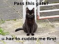 Pass this gate? u haz to cuddle me first (von Cherubino)