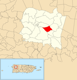 Location of Cidral within the municipality of San Sebastián shown in red