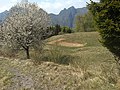 Monte Denai, il fondo delle Pozze con l'antica pozza d'abbeverata del brdtiame