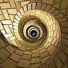 Hyperbolic spirals in a spiral staircase
