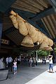 Izumo Taisha