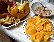 Extracting the jackfruit arils and separating the seeds from the flesh