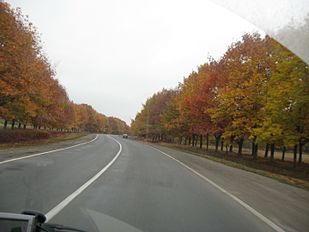 У Вінницькій області