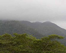 Maya Mountains Peten Department