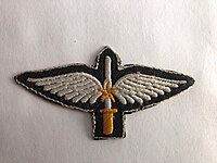 The Air Force Special Service Wing badge.