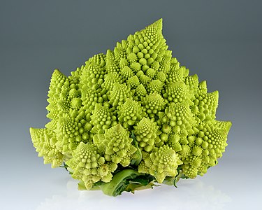 Romanesco broccoli, by Iifar