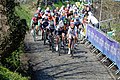 The women's peloton during the 2015 Tour of Flanders for Women