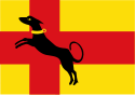 Flagge des Ortes Ruurlo